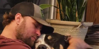 Milwaukee Teen Charged 30 Times in Summer Crime Spree